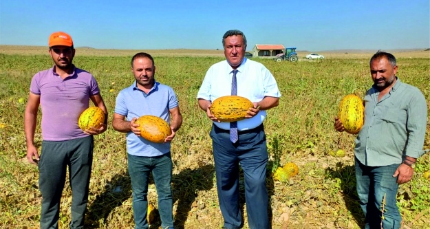 Üreteci ve tüketici zorda, aracıların işi tıkırında