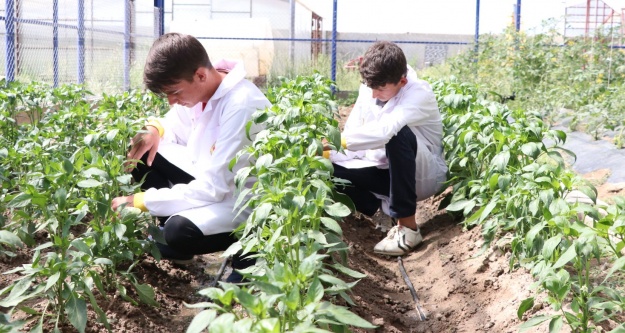 'Sürdürülebilir Tarım Ve Gıda Güvenliği' Dersinin Müfredatı Hazırlandı
